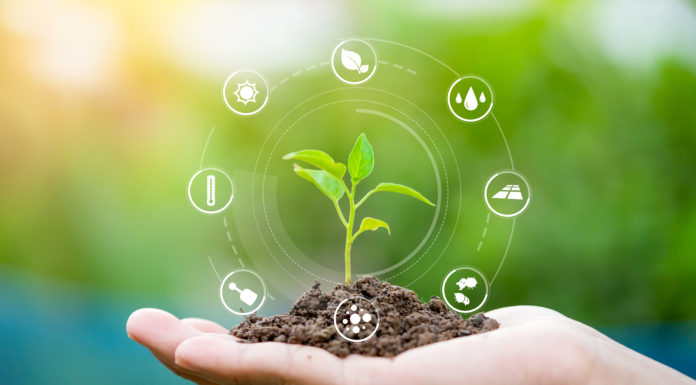 Studio: IA e oggetti connessi in soccorso ad assicurazione agricola e sanitaria agricoltura