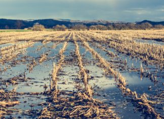 Spagna, sinistri record per l’assicurazione agricola nel 2025 estate tropicale