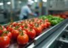 Willis, nell’industria alimentare sicurezza e fiducia nella risk management in calo nel 2026